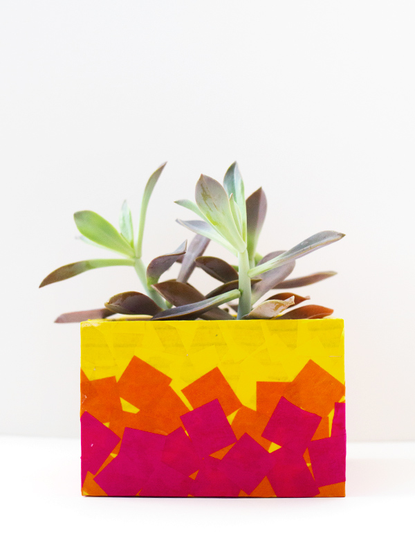 tissue-paper-planter-7.jpg