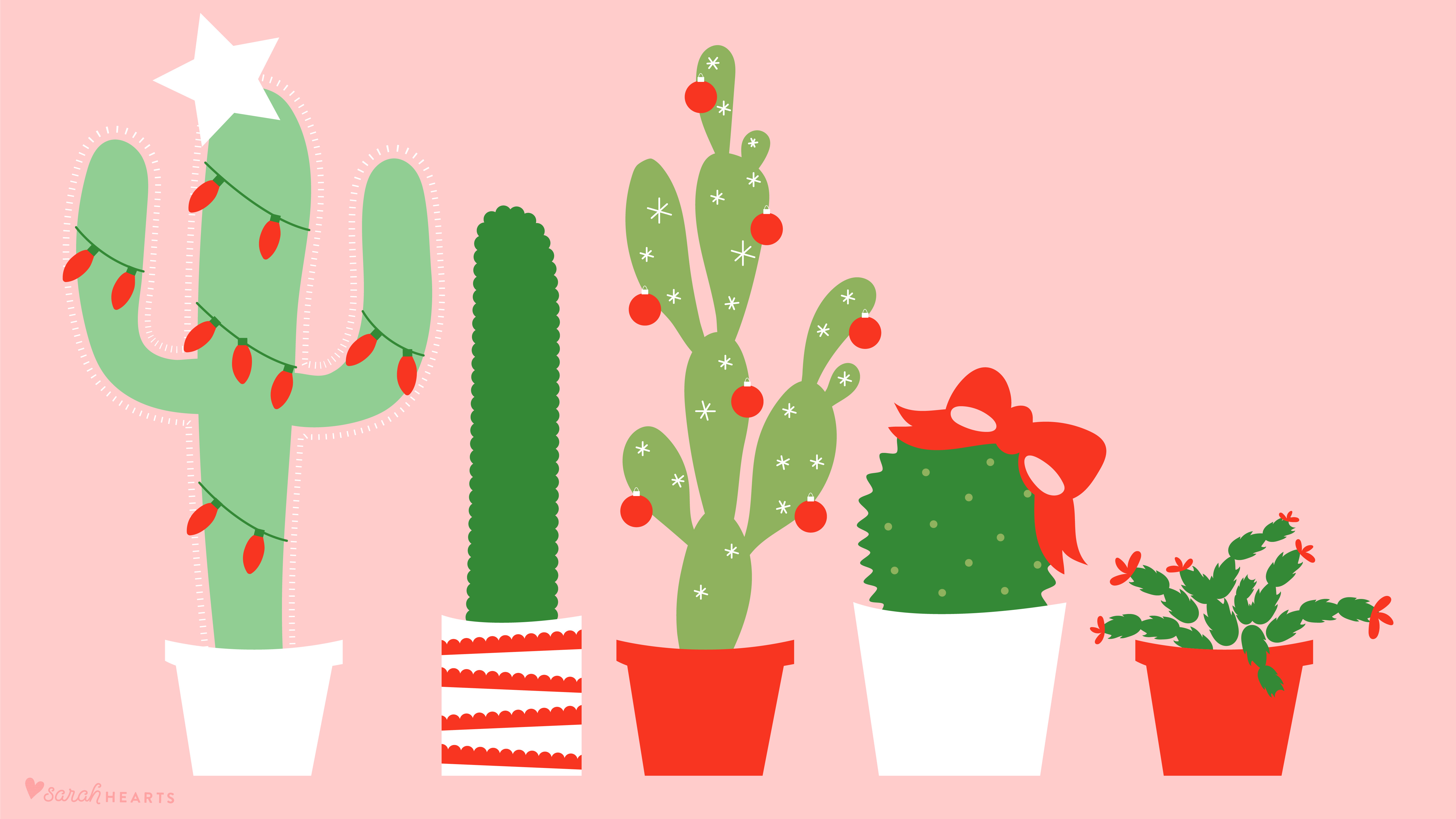 Cute Cactus Wallpapers Computer Free Download  PixelsTalkNet