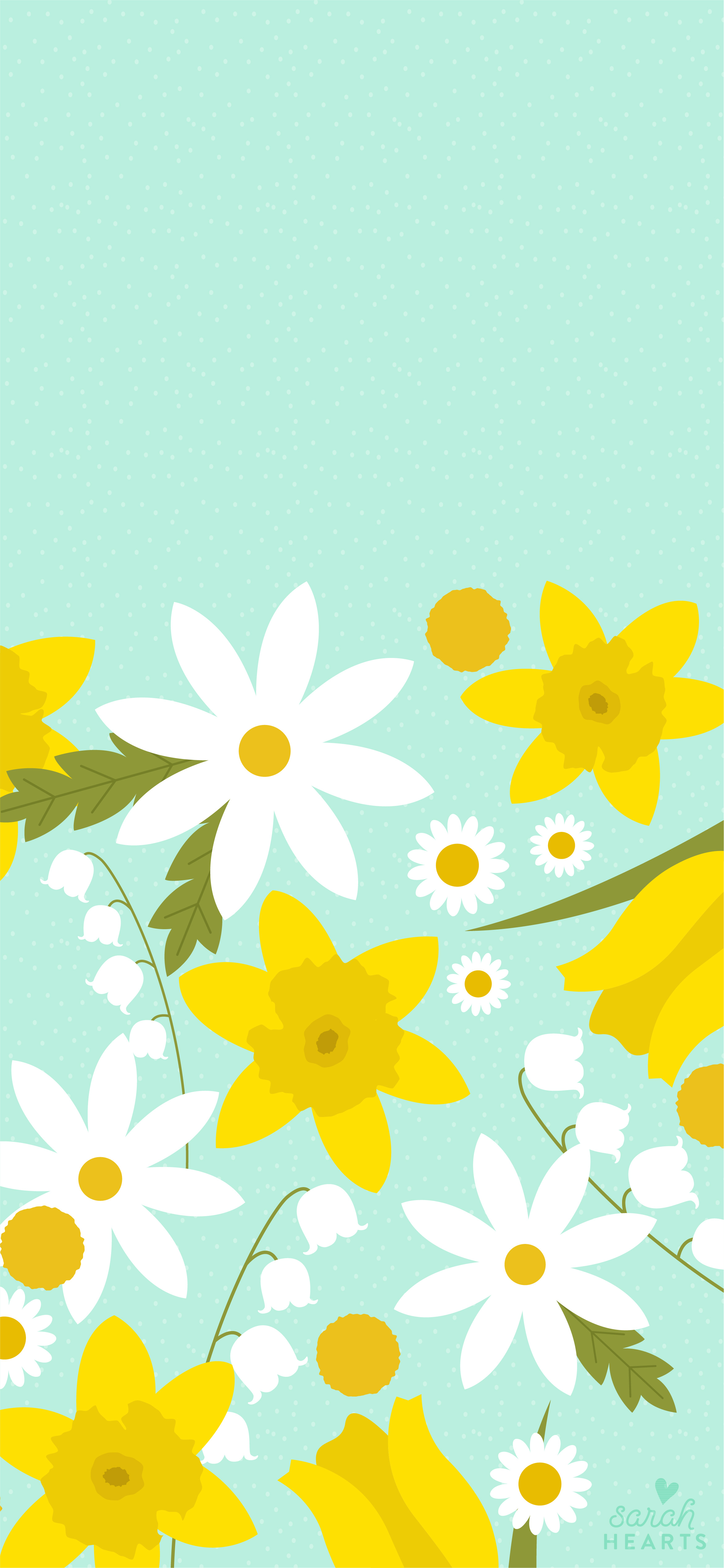 Download Spring Flower On Fields Iphone Wallpaper  Wallpaperscom