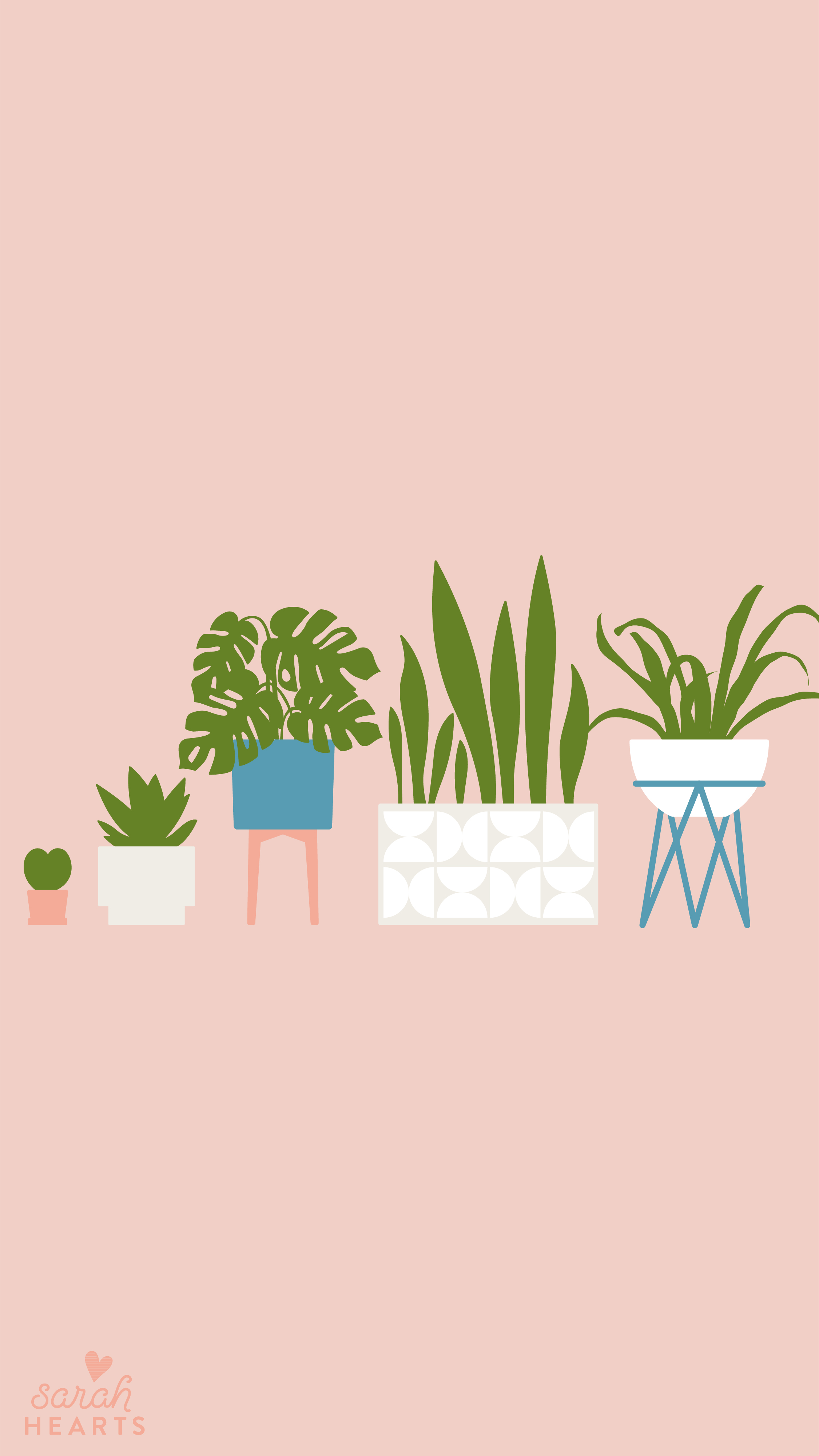 21 Of The Best Plant Wallpaper Ideas For iPhone  Kayla Everetts